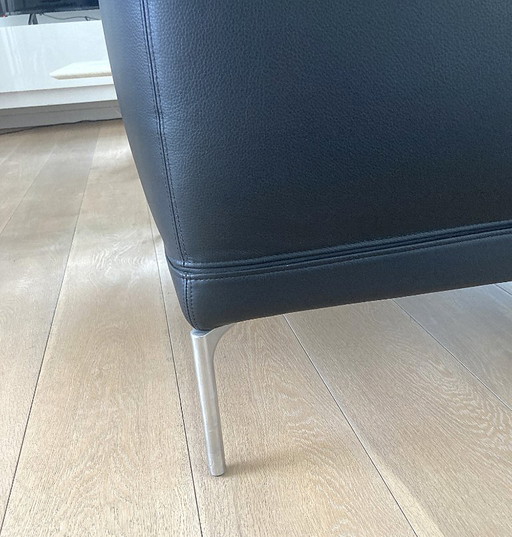 Fauteuil Zanotta William zwart leer Nappa 95 – Leather, Aluminium