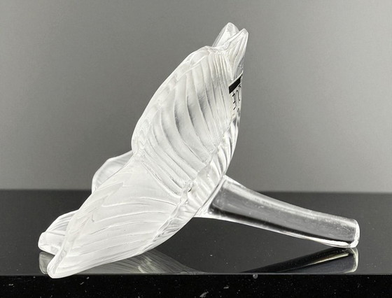 Image 1 of Lalique - Anemoon