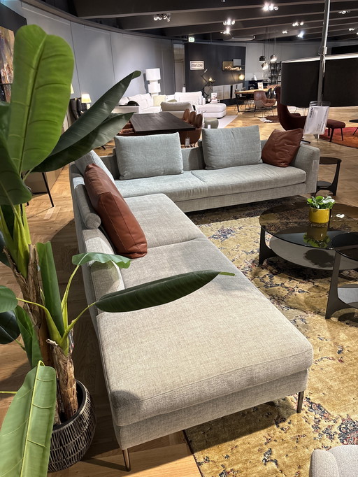 Montis Daley Hoekbank