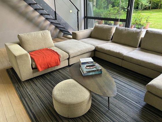 Image 1 of Paisaje vivo de Walter Knoll
