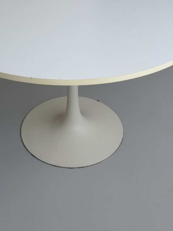 Image 1 of Arkana Tulip Maurice Burke - Mesa de comedor