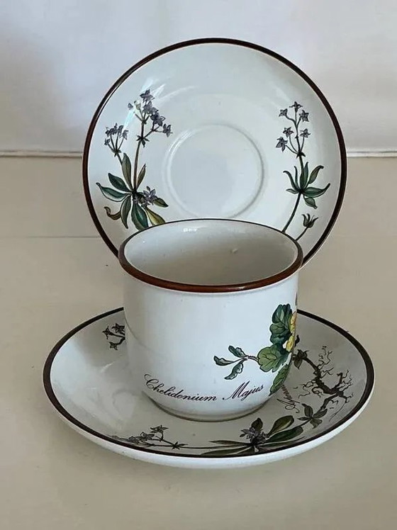 Tazza Chelidonium Majus & Piattino Asperula Odorata - Villeroy & Boch Botanica, Stoviglie, Porcellana, Retro (foto 3 di 5)