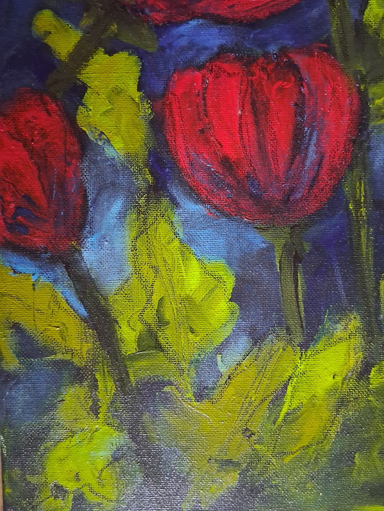 Image 1 of Corn Poppys