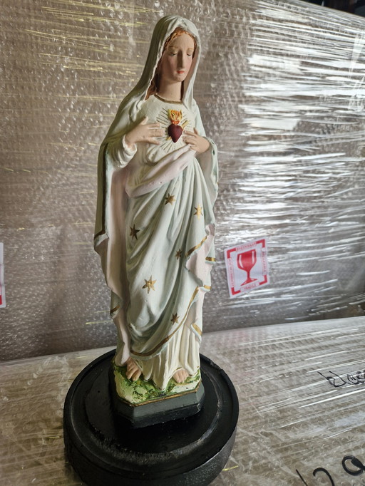 Dear Mary under the bell jar