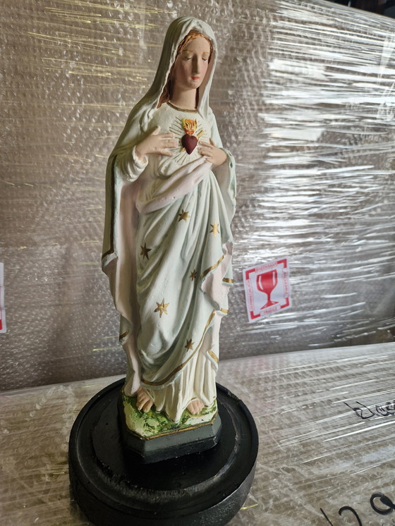 Image 1 of Cara Maria sotto la campana di vetro