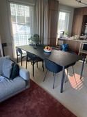    Hay New Order tafel 250 x 100 Zwart Fenix