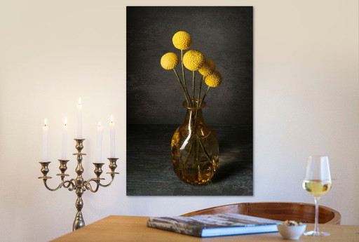 Flower Power 2025 | Dibond with Plexiglas 4/25