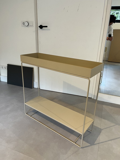 Farn Living Plant Box Zwei