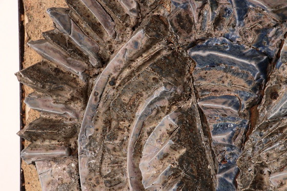 Image 1 of Caisse murale très rare et de grande taille de Tue Poulsen 1970