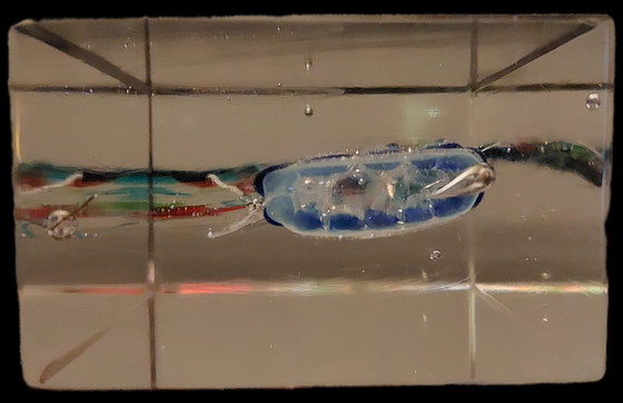 Image 1 of Acquario di Alfredo Barbini della serie Medusa degli anni 50/60