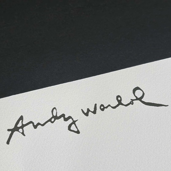 Lithographie en édition limitée « John Wayne » de Big Andy Warhol, années 1980, numérotée au crayon par le (photo 5 of 7)