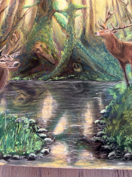 Image 1 of Nature