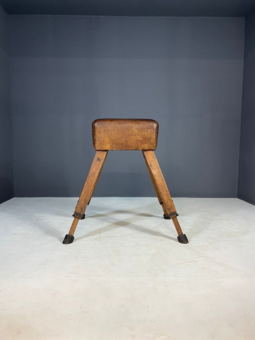 Cavallo da volteggio per la ginnastica, Cecoslovacchia, anni '60