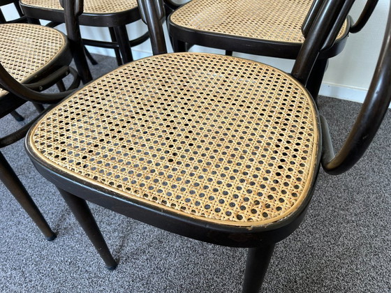 Image 1 of 6x Thonet 214f ​​​​​​Stoelen