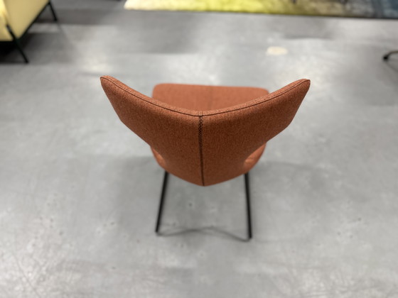 Image 1 of (1) Leolux Callas Artisan dining chair Feltwool