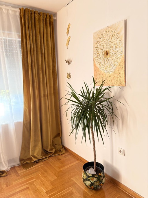 Ausstrahlung des Geistes