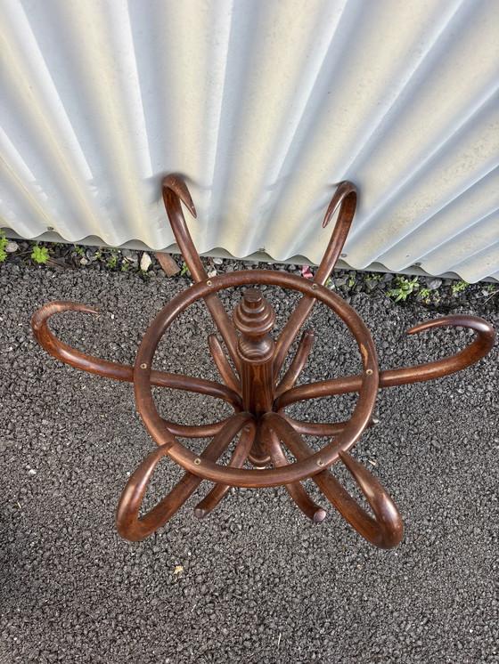 Image 1 of Garderobe Papagei