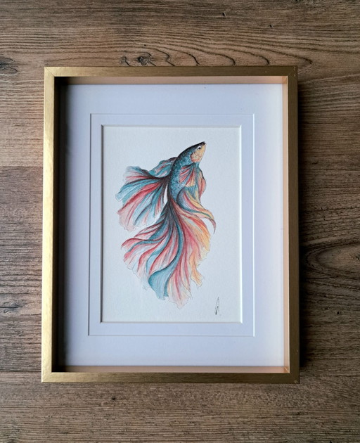 Pintura acuarela pez Betta Halfmoon | Con marco