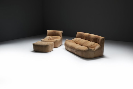 Original vintage Aralia set natural leather 1981 by Michel Ducaroy - Ligne Roset