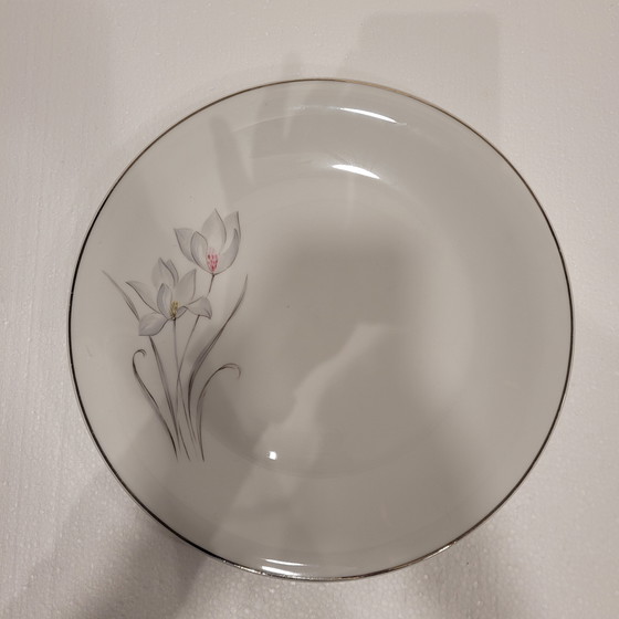 Image 1 of Vajilla de Porcelana Flores, Eschenbach, 55 Piezas, 50’s - Alemania