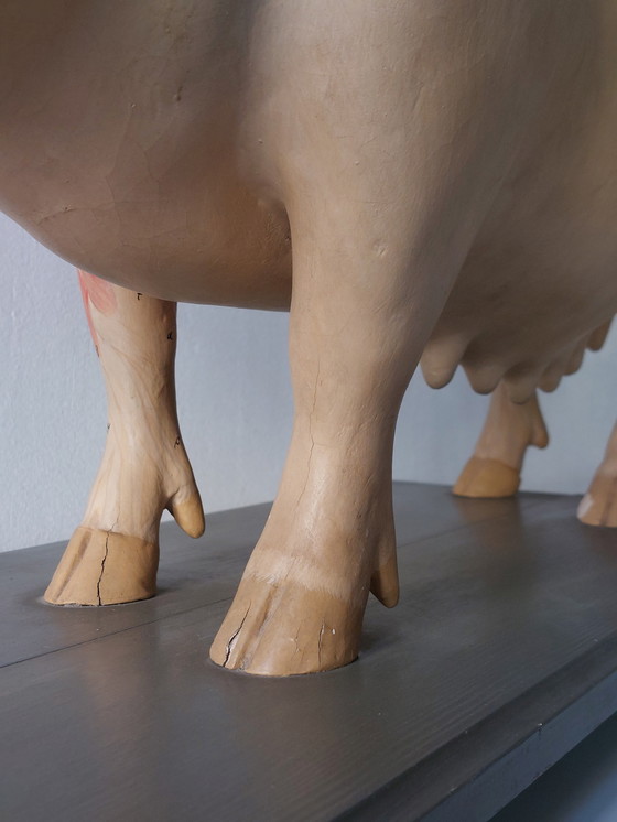 Image 1 of Modèle anatomique ancien de porc à visée pédagogique, Louis Meusel, Sonneberg