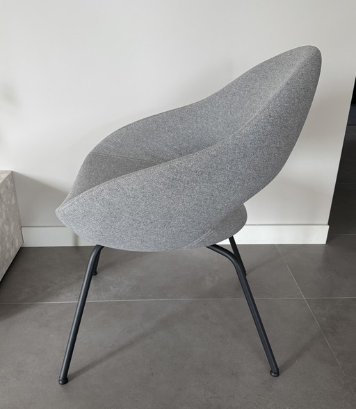 6x sedia da pranzo Artifort Shark