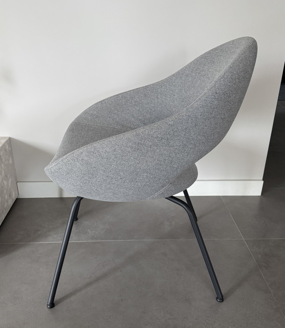 Image 1 of 6x sedia da pranzo Artifort Shark