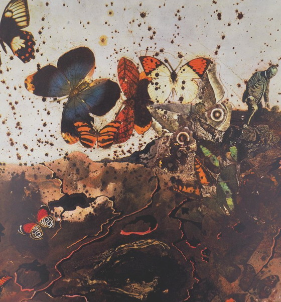 Salvador Dalí: Auvernia, SNCF (Suite de las Mariposas), Litografía original firmada – Litografías y grabados (photo 2 of 6)