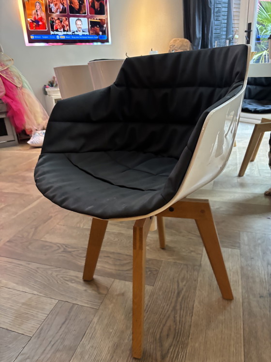 Image 1 of sedie in MDF