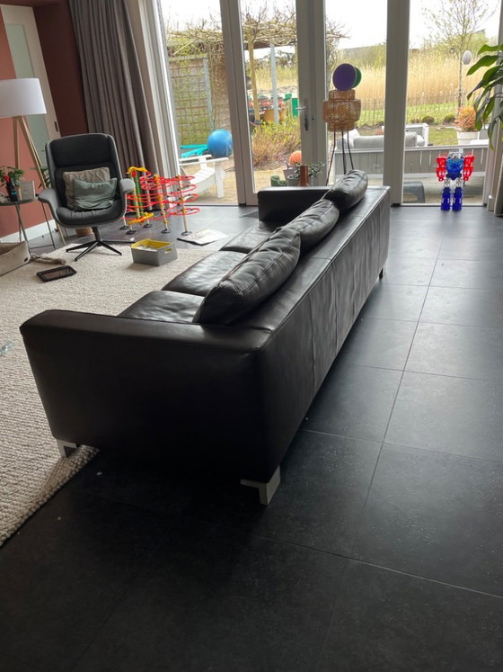 Image 1 of Molinari Ledersofa, 4-Sitzer