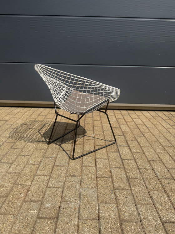 Originele Vintage Knoll Bertoia Diamand Chair TOPstaat!! – Fauteuils, Metal, Textile (photo 2 of 14)