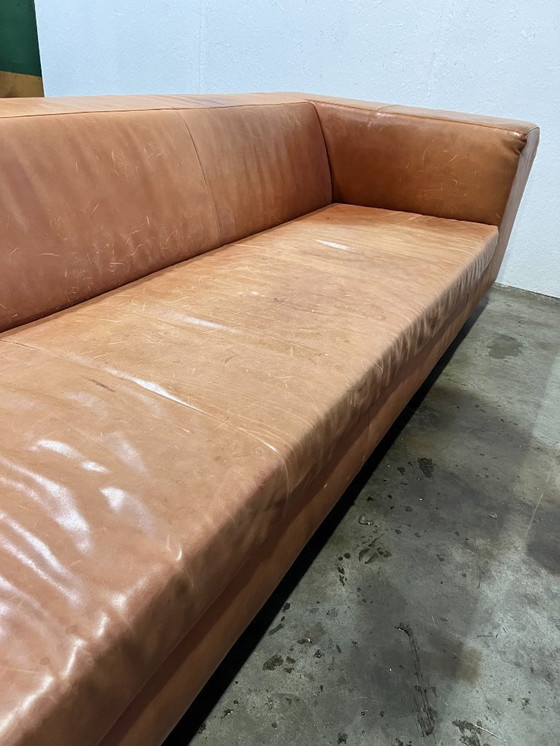 Image 1 of Sofá XL, Montis Malou, Tapizado en Cuero, Coñac