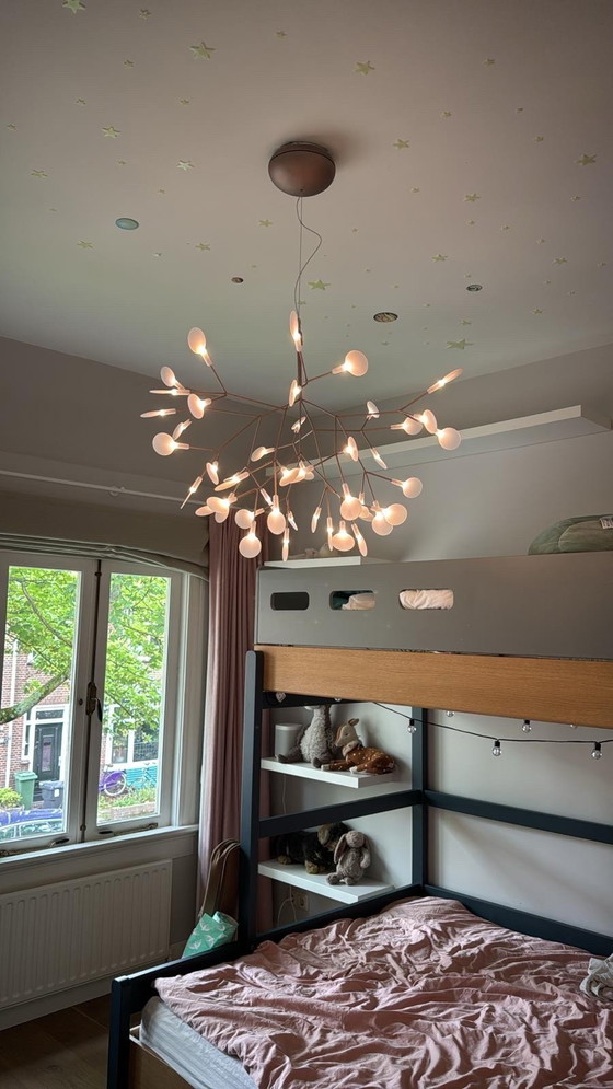 Image 1 of Lampada Heracleum piccola di Moooi