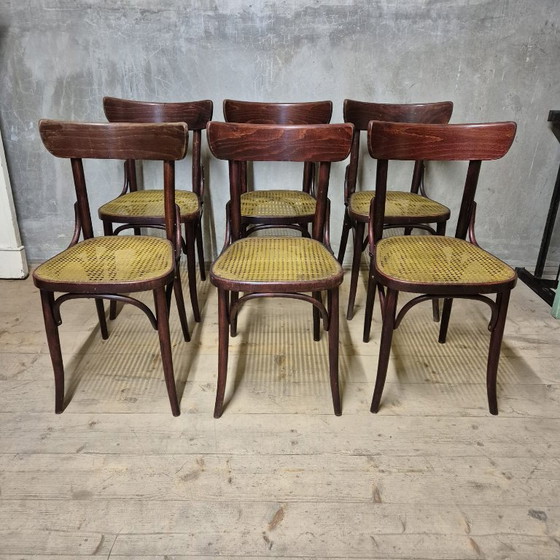 Image 1 of Set van 6 eetkamerstoelen, Thonet-stijl, jaren 60, Tsjecho-Slowakije