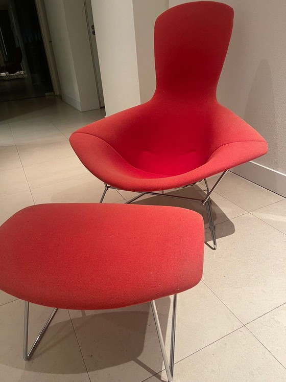Bertoia Bird Chair – Knoll, Poltrone, Metallo, Tessile (photo 2 of 5)