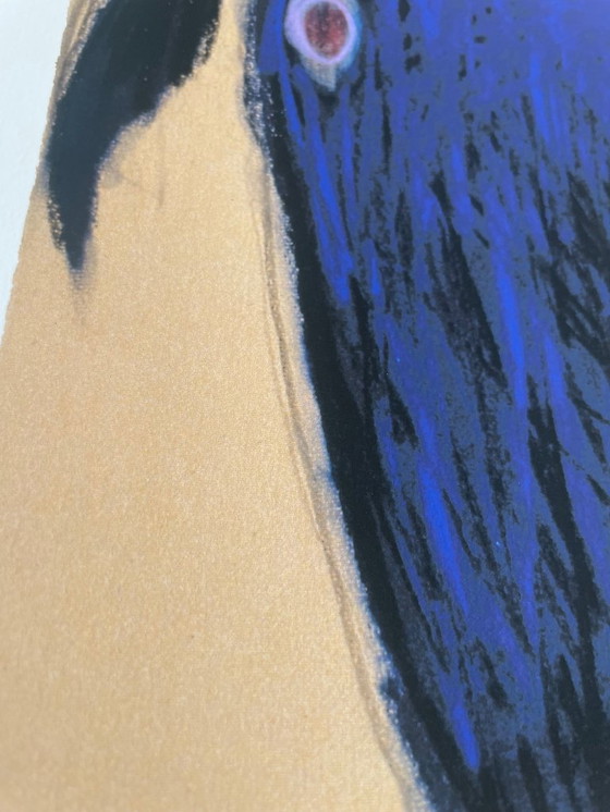 Image 1 of Petrus De Man, La capra, 1992, copyright P. De Man 2005, Belgio