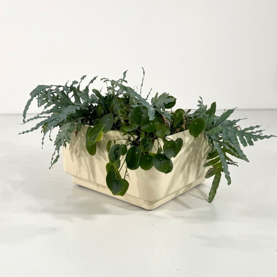Image 1 of Large Planter on Wheels by Anna Castelli for Kartell, 1970s