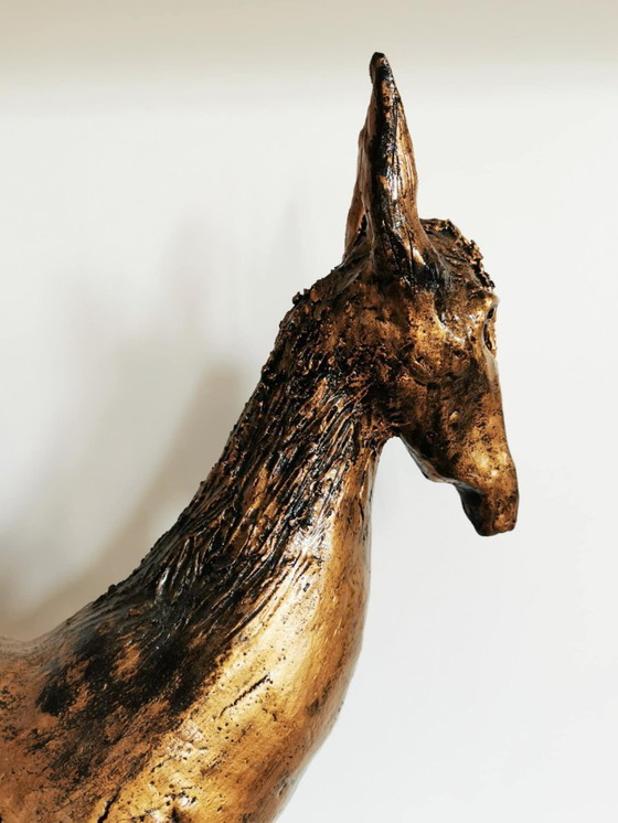 Image 1 of Asino al galoppo