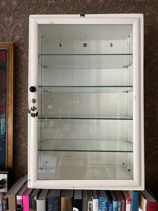 Vintage ziekenhuiskastje hangkastje vitrine