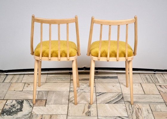 Image 1 of Set of two Vintage Chairs, designed by A. Suman in Czechoslovakia, 1960s