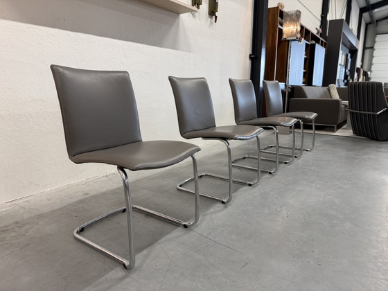 Image 1 of 4 Leolux Freyr dining chair Wapiti Triel