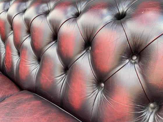 Sofá de 3+1+1 plazas color rojo burdeos – Chesterfield, Leather, Wood (photo 6 of 7)