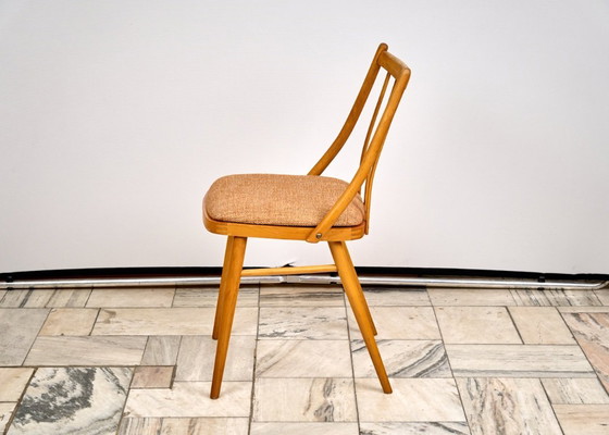 Image 1 of Set van 3 eetkamerstoelen van A. Suman, jaren 60, Tsjechoslowakije