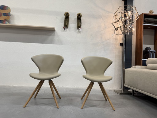 2 Tonon Concept 902 11 Sedie Soft Touch