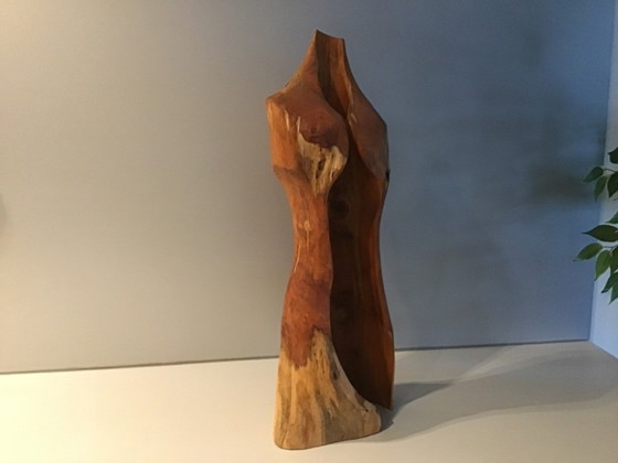 Image 1 of Wooden torso by Bart Ensing Nature Art