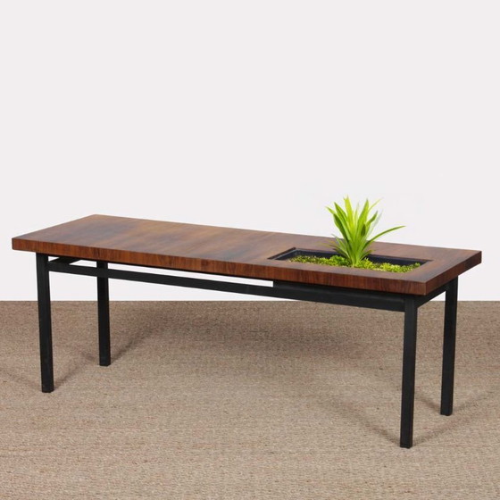 Image 1 of Vintage rosewood coffee table with a planter, 1960