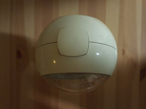 Image 1 of Blessing Space Age tulip grower