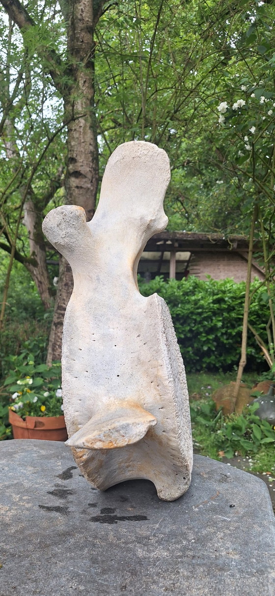 Scultura del Mare – Oggetti decorativi, Other (photo 4 of 5)
