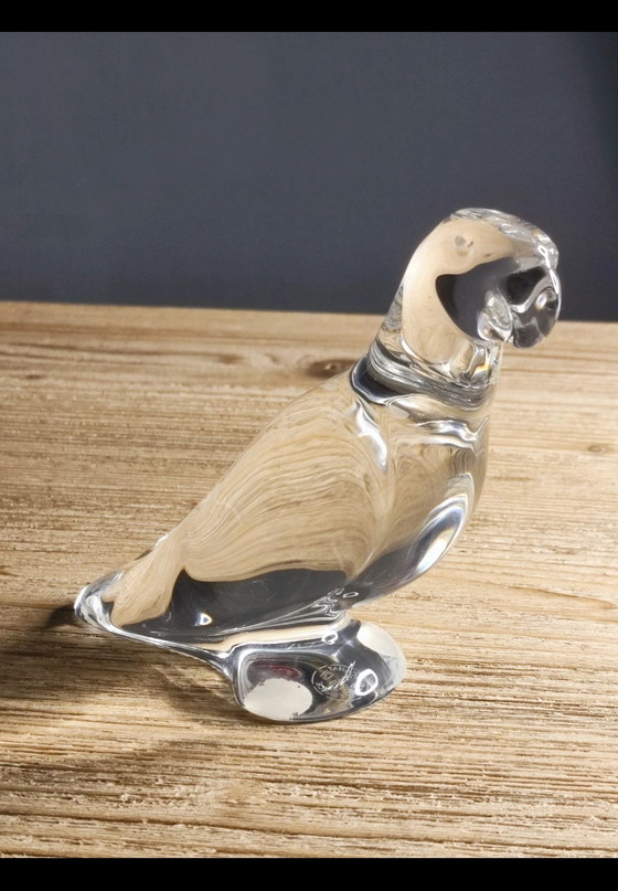 Image 1 of Perruche Baccarat