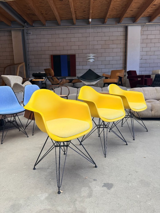 Silla Vitra Eames DAR con cojín fijo (Stock: 3) – Sillas de comedor, Metal, Plastic (photo 5 of 15)